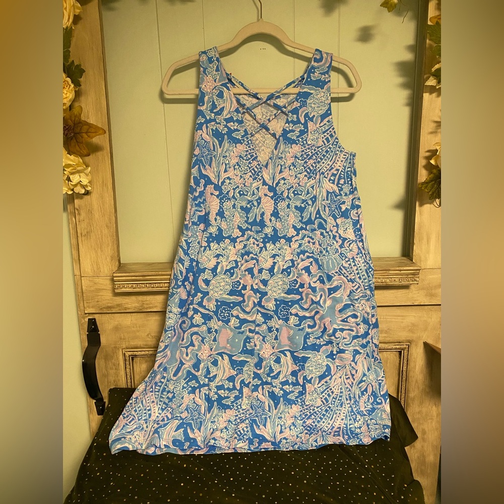 NWT Lilly Pulitzer Kristen Sleeveless Dress Small - Picture 2 of 5